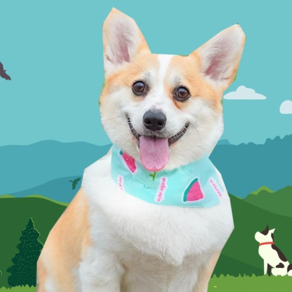 Мультяшный охлаждающий ледяной шарф портативный ошейник для собак удобный шарф для домашних животных охлаждающий артефакт