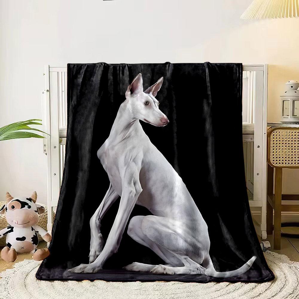 White Ibizan Hound Blanket bedroom Blanket for Livingroom Couch lunch break Soft throw for Friend's festival Gift