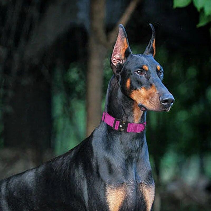 OEM Large Adjustable Dog Collar K9 Tactical Combat Pet Collar Washable Nylon Collar for Small Medium Large Dogs,Dog Accessories