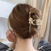 Women's Hair Gorgeous Flower Cubic Clip