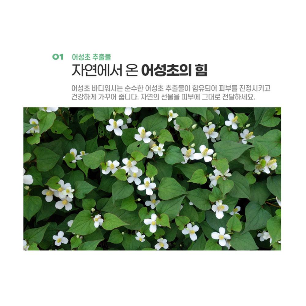 Gongskin Houttuynia Cordata Body Wash 100ml