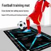 Anti-Slip Indoor Soccer Training Carpet with Diatom Mud for Sound Insulation and Ball Control