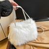 Portable Wool Bag Women's 2025 New Trend Fashion Foreign Style Plush Bag Korean Version Niche Trend Versatile Shoulder Bag