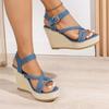 2024 Summer New Women's Shoes Fashion Solid Color Open Toe Women's Sandals Cloth One-line Buckle Women's High Heel Sandals