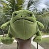 New 20cm Doll Rain Frog Plush Toy Cartoon Frog Doll Toy Children's Gift