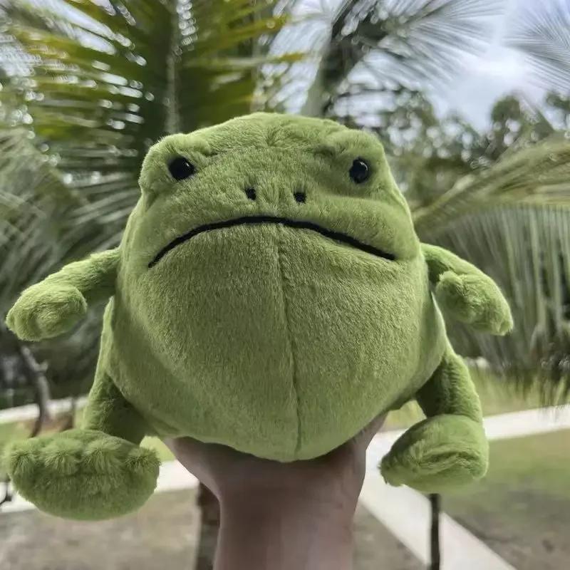 New 20cm Doll Rain Frog Plush Toy Cartoon Frog Doll Toy Children's Gift