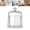 Clear Cloche Glass Dome Bell Jar Display Case Tabletop Ornament for Small Desserts