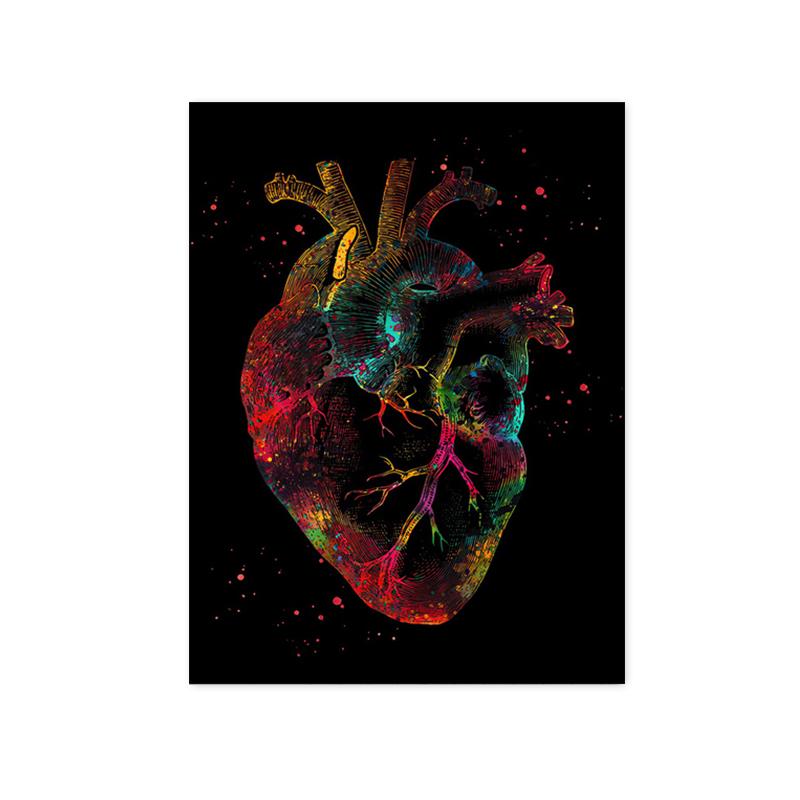 Анатомия человека мышечная система холст картина сердце легкие кость плакат печать медицинское образование офисные фотографии украшение дома подарки