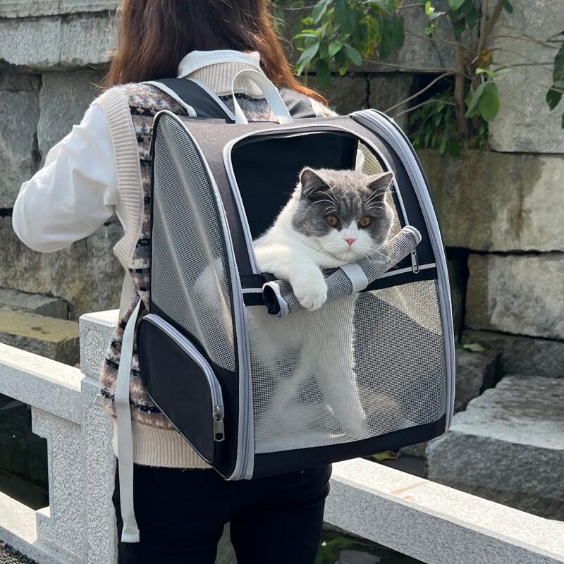Portable Foldable Breathable Cat Travel Backpack