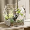 Round Fish Tank Clear Ornamental Fish Decor New Desktop Aquarium