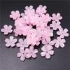 Accessories Receptacle 5 Petals Flower Jelly Color 20pcs DIY Handmade Material Jewelry Fashion Hair Accessories Making  Jewelry Accessory