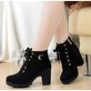 High Heeled Women Boots Cross Straps Short Boots Comfortable Waterproof Boots Warm Plus Size 42 Botas Femininas