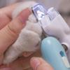 Профессиональные кусачки для когтей домашних животных со светодиодной подсветкой, ножницы для ухода за когтями домашних животных, собаки, кошки, маленькие животные, триммер для когтей на лапах, товары для домашних животных