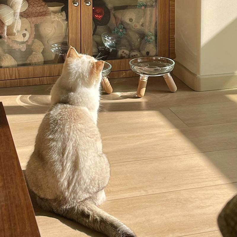 Миска для кошек с прозрачным дизайном, приподнятая миска для кошачьего корма, тарелка для воды, миска для лакомств с подставкой для защиты шеи