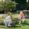 Plastic Garden Watering Can for Watering Plants and Flowers 5L