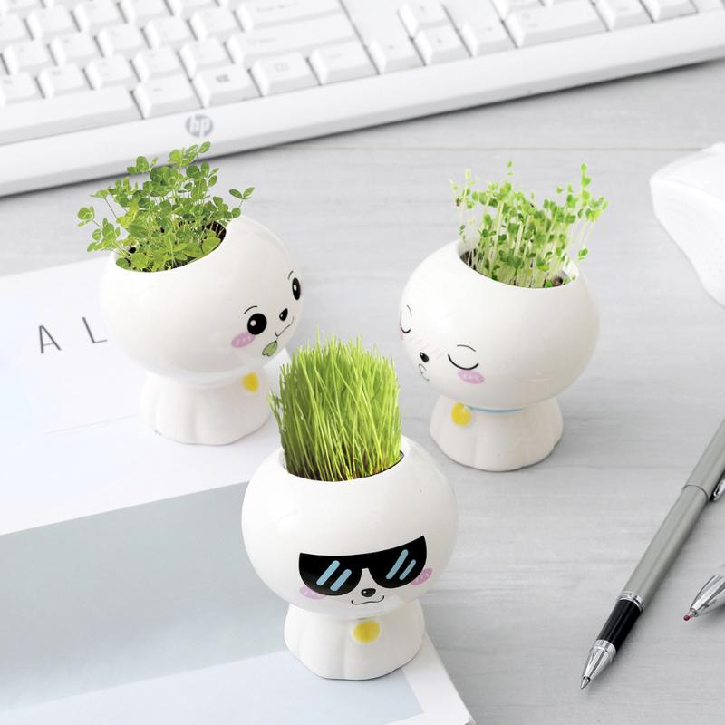 Новая мини-кукла, милый цветочный горшок, цветочный горшок, керамический суккулент, горшок, творческий DIY, детские игрушки, наука, образование, подарок, домашний декор