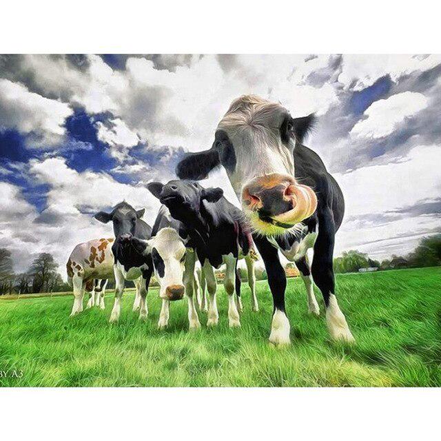 5D DIY алмазная живопись корова вышивка крестиком полная квадратная/круглая дрель Алмазная вышивка животные горный хрусталь фотографии ремесла подарок