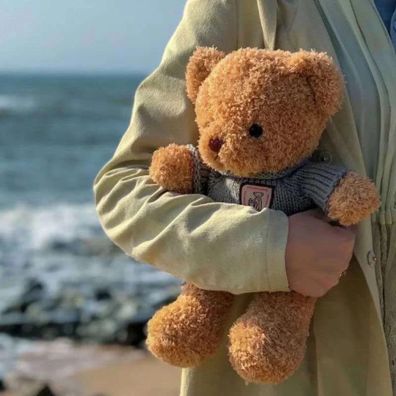 Милая кукла-мишка, плюшевая игрушка-мишка 40 см, лучший подарок для детей, хороший парень, мягкая игрушка, подарок на день рождения