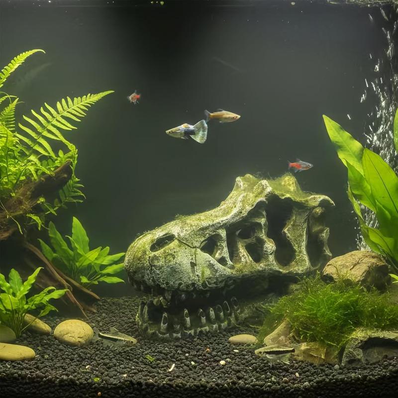 Лазающие питомцы, Уклонение от дыр, Имитация ландшафта аквариума, Окаменелость головы дракона, Домик для рыб и креветок, Декоративные поделки для аквариума
