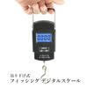 Цифровые весы для рыбалки, подвесные весы для ночной рыбалки, весы, снасти, весы, вес,