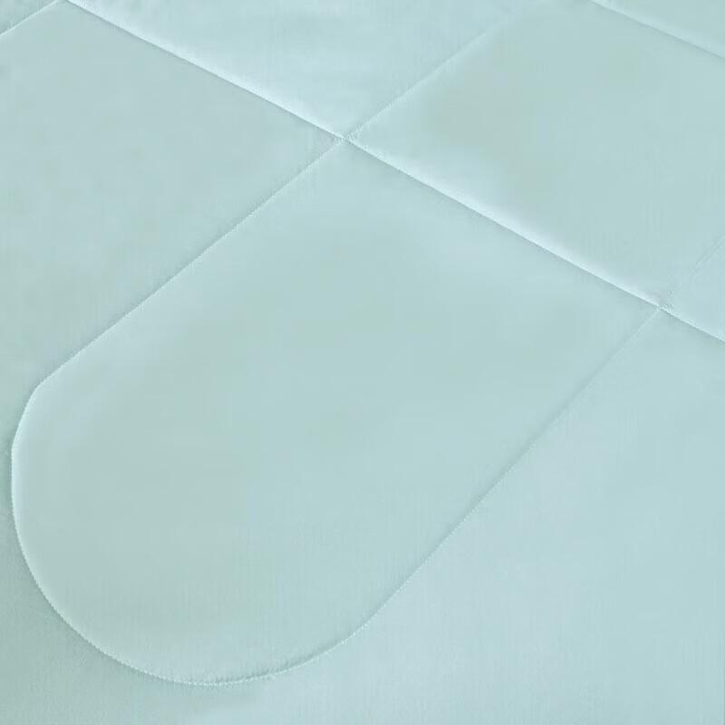 LUOLAI Super Soft Anti-Mite Washable Summer Comforter