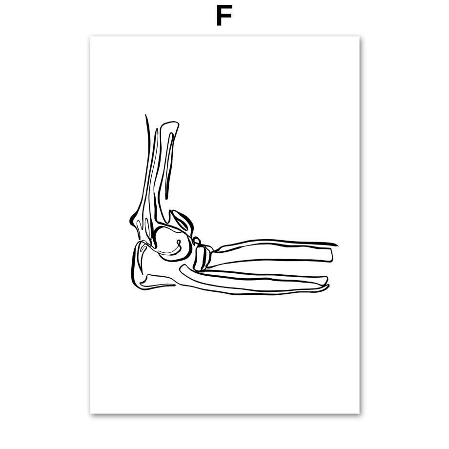 Wall Art Print Canvas Painting Human Anatomy Abstract One Line Bone Heart Tooth Nordic Poster Decor Pictures Medical Office Room