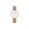 Daniel Wellington DW00100163