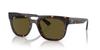 RB4426 PHIL Ray-Ban