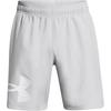 Woven Series UA Tech Graphic Shorts Men Shorts Gray 1377139-011