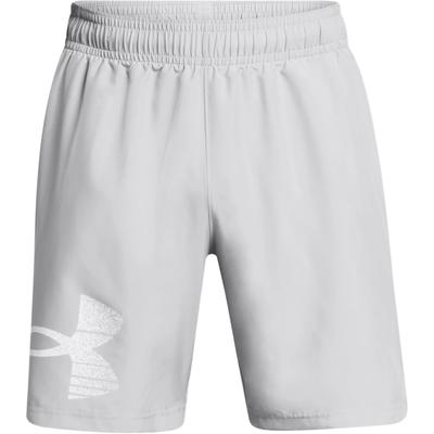 Мужские шорты Woven Series UA Tech Graphic Shorts Серые 1377139-011