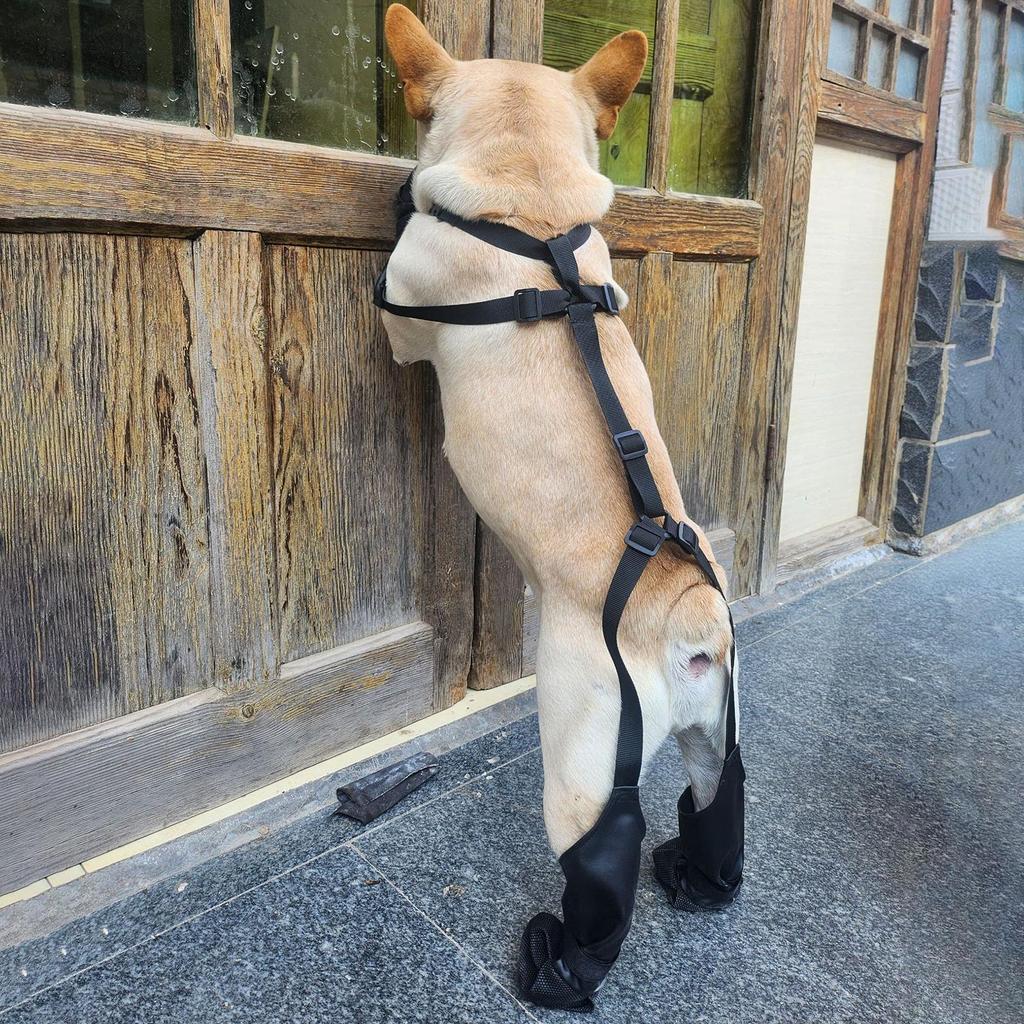 Anti-Dirt Dog Suspender Boots Pet Legging Boots Paw Protector French Bulldog Suspender Boots For Small To Large Breeds