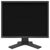 EIZO S2134 21,3-дюймовый 4:3 промышленных дисплея CN-вилка (адаптер в комплекте)