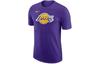 Лос-Анджелес Лейкерс Базовая мужская футболка Nike NBA FJ0243-504