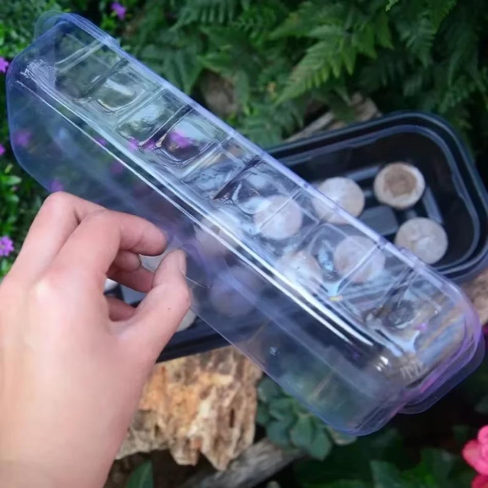 Прозрачный лоток «три в одном» для посева и выращивания рассады с 12 питательными почвенными блоками для рассады, коробка для посева для начинающих садоводов, посадка