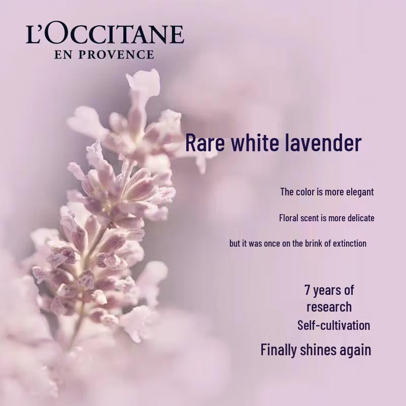 L'Occitane White Lavender Body Lotion Gift Set
