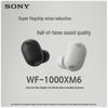 Sony Наушники с шумоподавлением WF-1000XM6