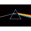 Dark Side Of The Moon Maxi Poster
