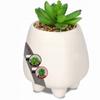 Artificial Flower Plant Decorative Succulent 10.5 Cm