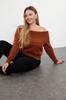 Women's Fashion Stylish Plus Size Sweater Brown Carmen Collar Knitwear Sweater