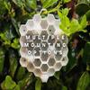 No Battery Wasp Deterrent Durable Realistic Plastic Hanging Wasp Repellent for Camping Hiking Outdoor Use