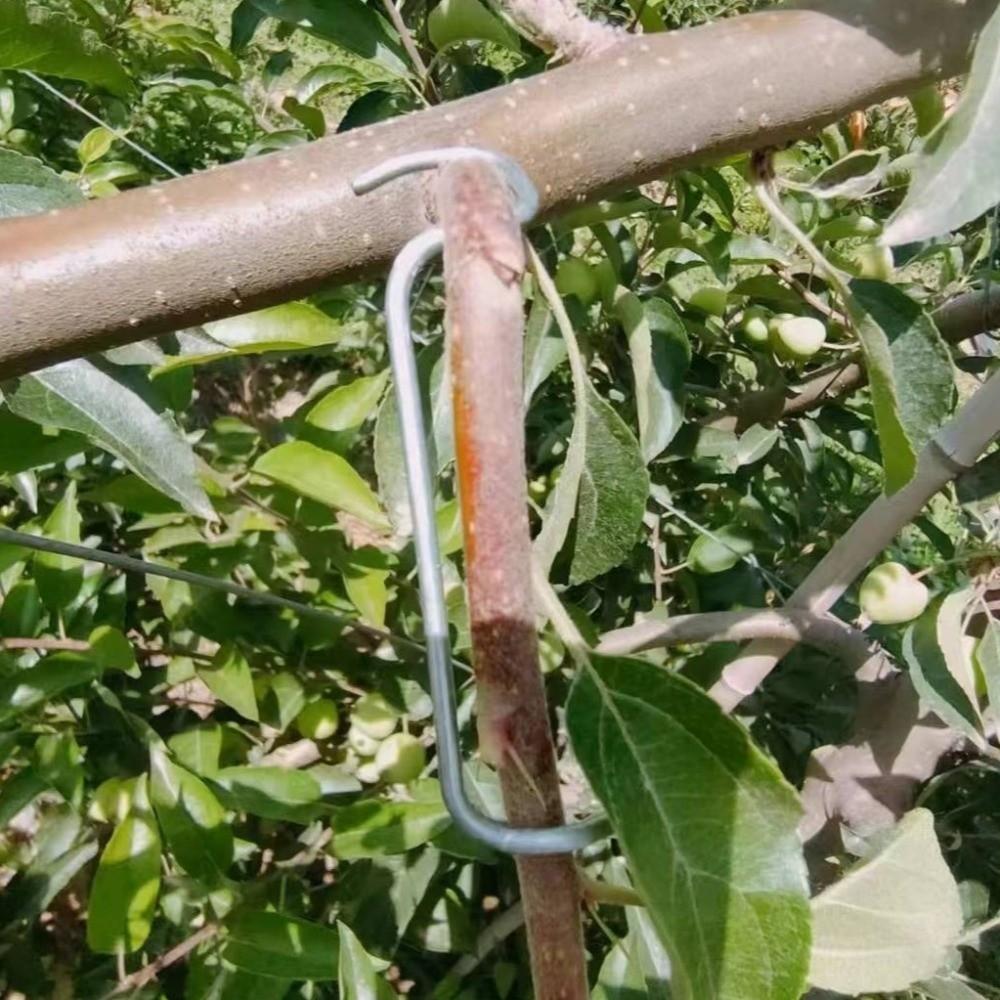10Pcs High-Strength Fruit Tree Branch Puller Anti-Slip Branch Bending Clips Outdoor Farm Planting