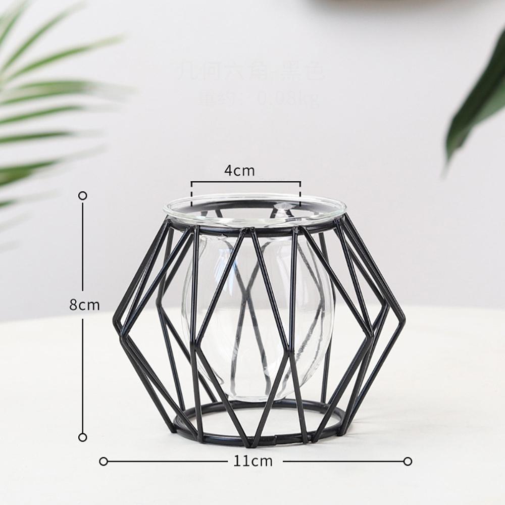 Nordic Golden Glass Vase Iron Line Vase Metal Home Decor Modern Plant Holder Terrarium Geometric Hydroponic Plant Flower