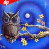 Алмазная живопись Круглые камни Животные Алмазная вышивка Распродажа Сова Хобби и рукоделие Картины