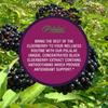 Elderberry Capsules 3200mg - with Black Elder Extract - Energy & Immune Booster