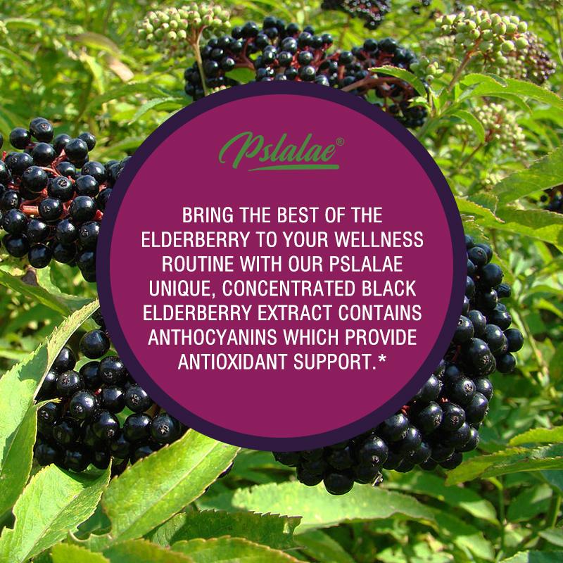 Elderberry Capsules 3200mg - with Black Elder Extract - Energy & Immune Booster
