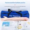 Multifunctional Venipuncture and Injection Training Arm