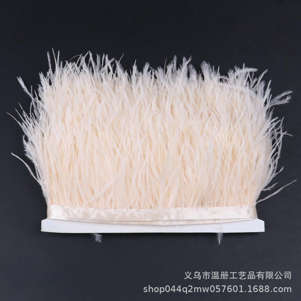 Multi-Color Ostrich Hair Cloth Edge Bridal Dress Stage Decoration Feather Lace Quantity Is More Excellent