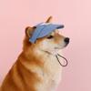 Outdoor Sun Hat for Dog Denim Dog Sun Hat Dog Baseball Cap Pet Sun Protection Visor Hat with Ear Holes and Adjustable Neck Strap