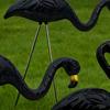 2Pcs/Set Simulation Flamingo Garden Stake Decoration Weather-proof Indoor Outdoor Yard Lawn Patio Pathway Glow-in-the-dark Skeleton Flamingo