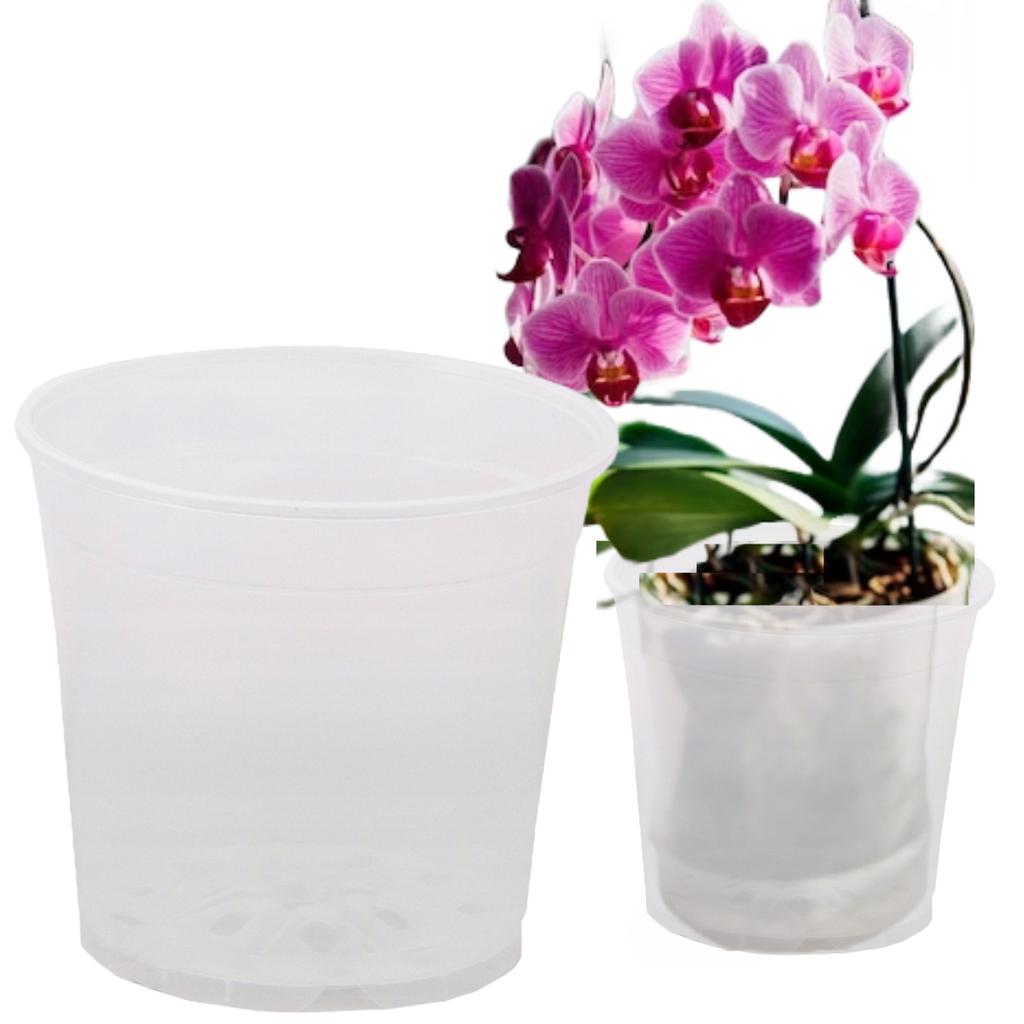 Plastic Propagation Pot for Orchids